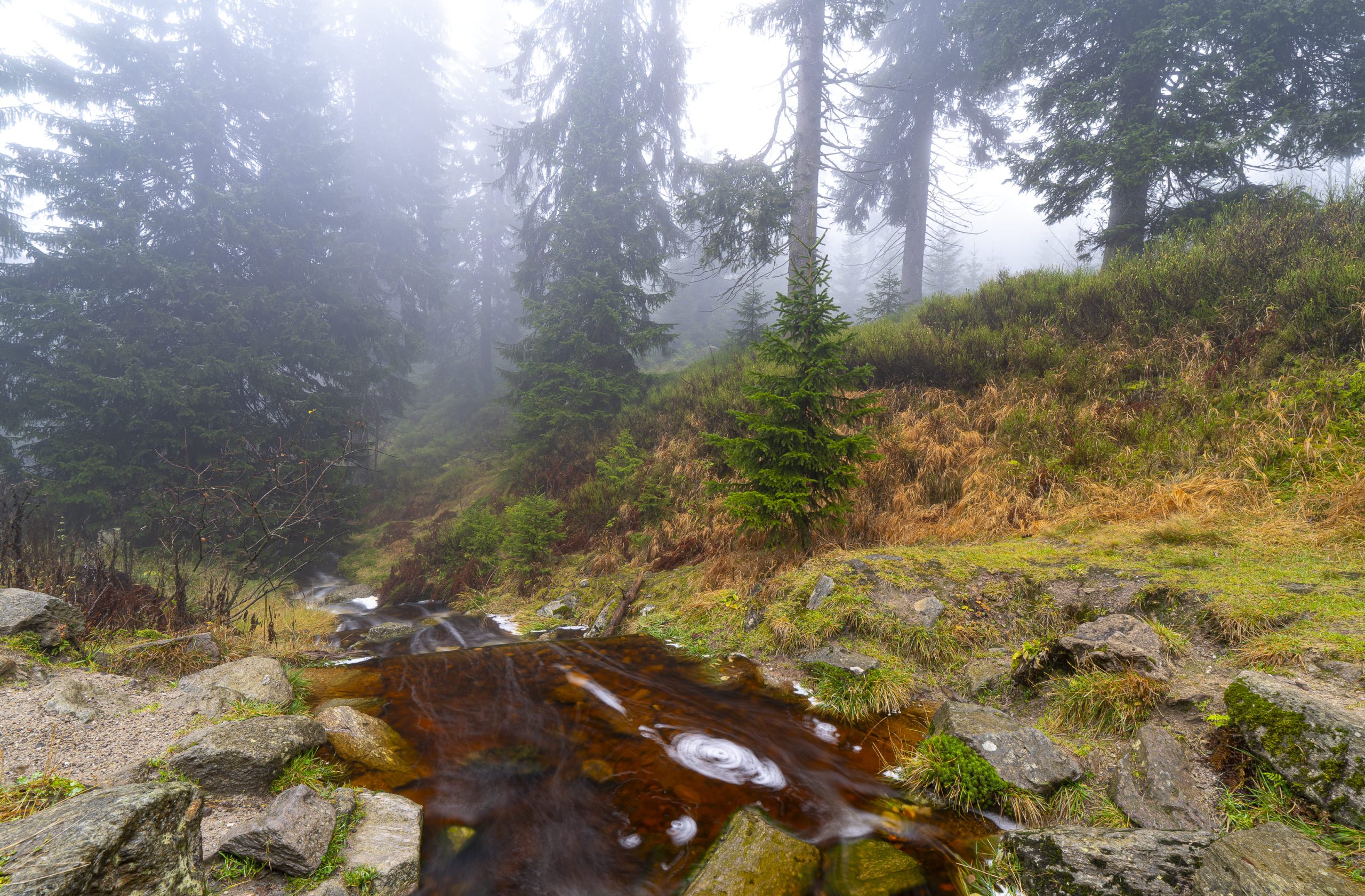 Krkonošská krajina